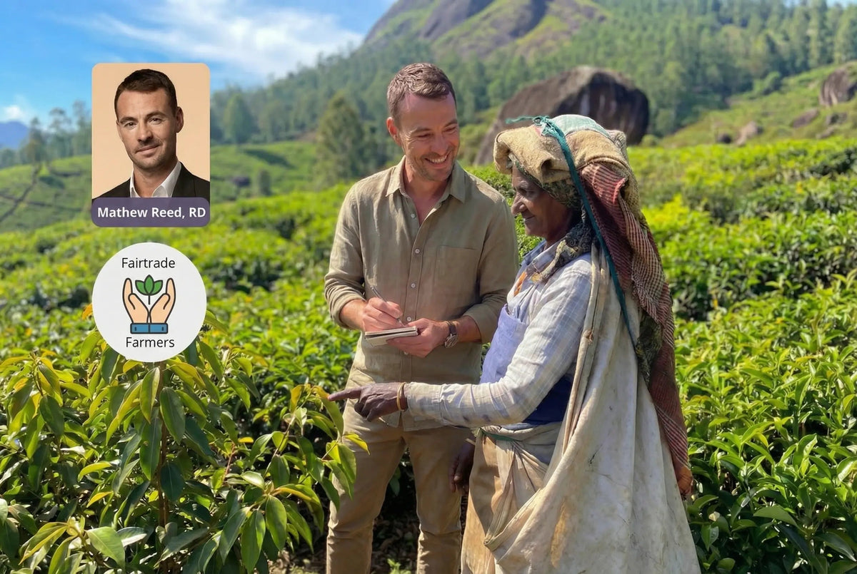 Ceylon cinnamon farmers in Sri Lanka